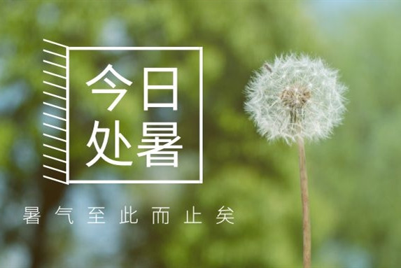 【衡陽通用電纜】處暑不是暑，秋涼知我意